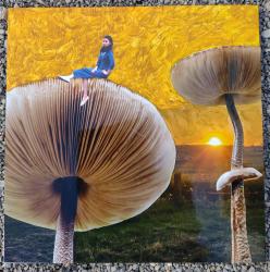 Klik voor vergroting.