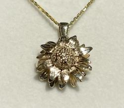 Klik voor vergroting.