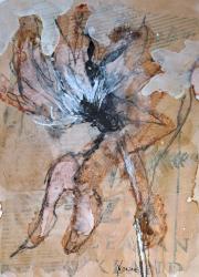 Klik voor vergroting.